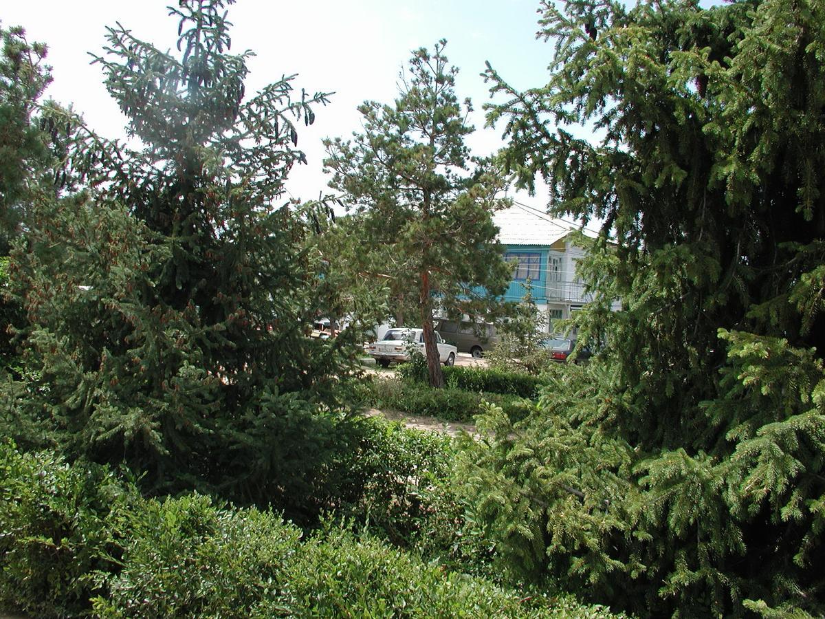 Legenda Health Resort Kaji-Say Екстериор снимка